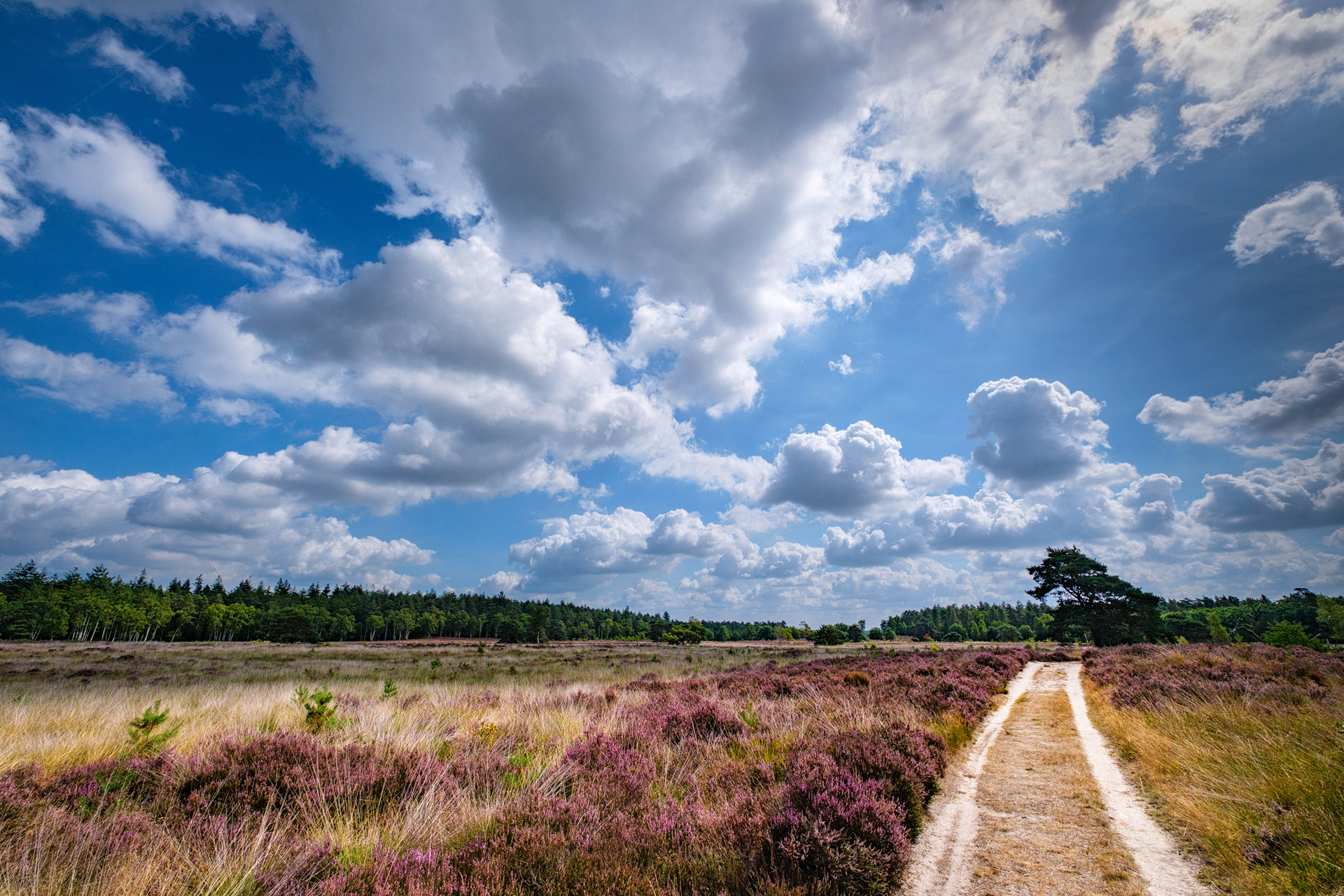 Hospizstiftung Grafschaft Bentheim